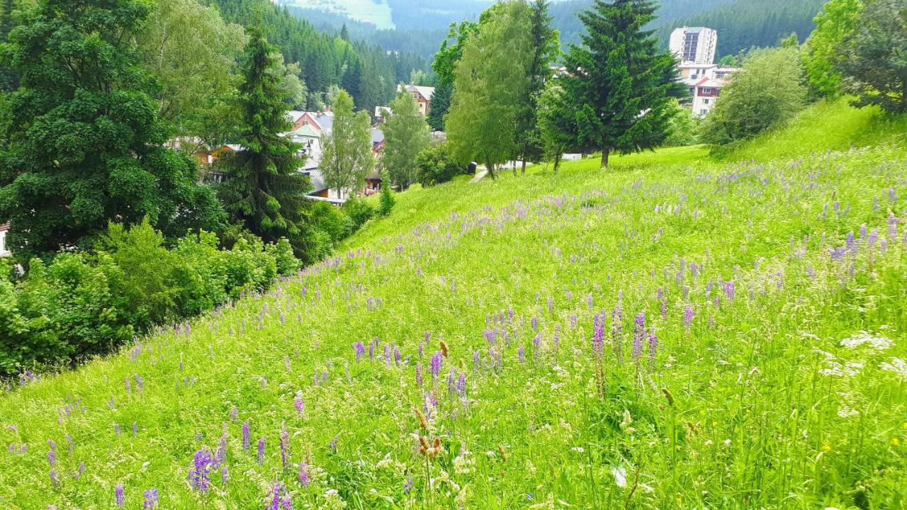 Apartman Liska V Peci - Apartmanovy Dum Horalka, Pec pod Sněžkou Zewnętrze zdjęcie