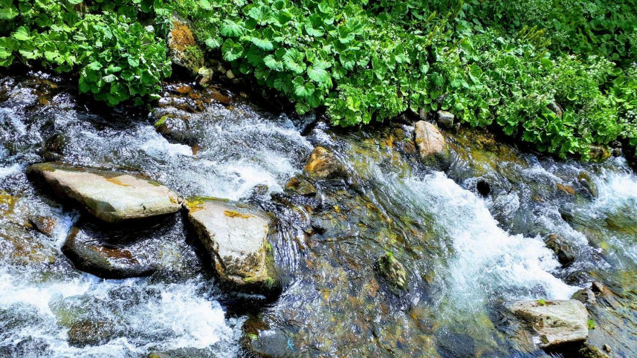 Apartman Liska V Peci - Apartmanovy Dum Horalka, Pec pod Sněžkou Zewnętrze zdjęcie